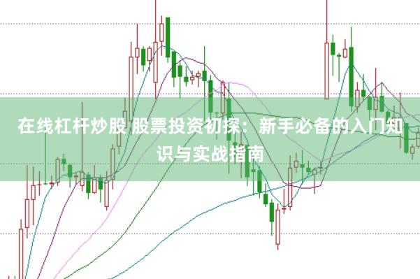 在线杠杆炒股 股票投资初探：新手必备的入门知识与实战指南