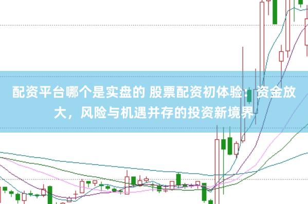 配资平台哪个是实盘的 股票配资初体验：资金放大，风险与机遇并存的投资新境界