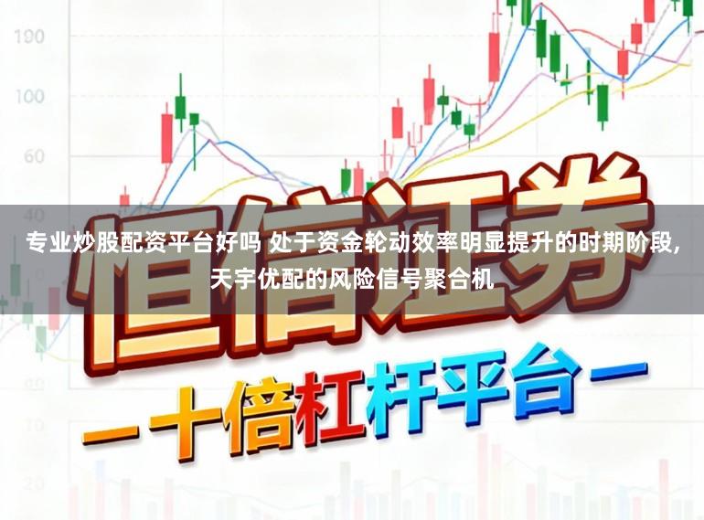 专业炒股配资平台好吗 处于资金轮动效率明显提升的时期阶段,天宇优配的风险信号聚合机